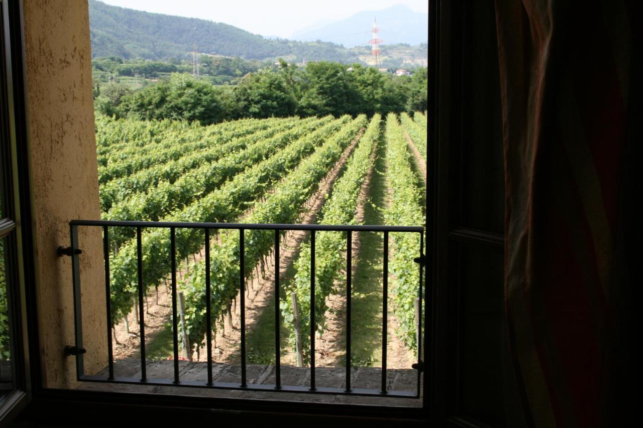 Agriturismo Ripa Del Bosco Capriolo Екстер'єр фото