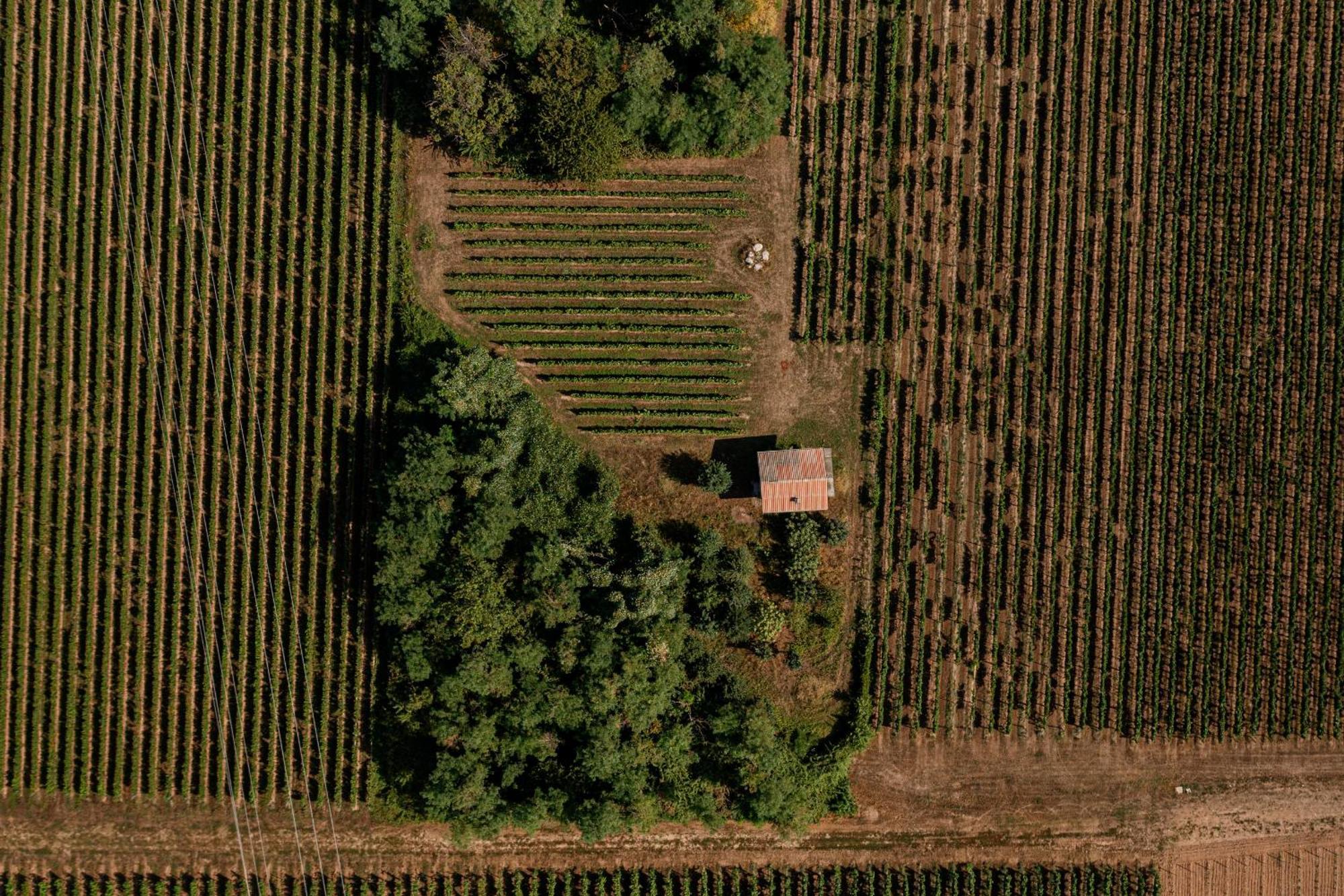 Agriturismo Ripa Del Bosco Capriolo Екстер'єр фото